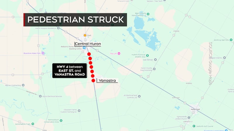 Pedestrian, dog killed in collision on Highway 4