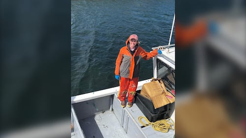 How young fish harvesters are helping save a rapidly aging industry