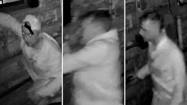 Kingston police searching for suspect in voyeurism incidents