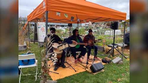 Musicians are pictured performing during the Harvest Hootenanny at the Common Roots Urban Farm in Halifax, N.S., on Nov. 1, 2025. (Vanessa Wright / CTV Atlantic)