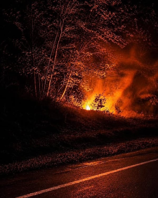 Man charged after two brush fires sparked near Port Alberni, B.C.