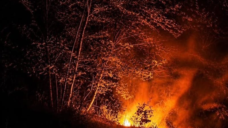 Suspicious brush fire near Coombs, B.C., prompts RCMP investigation