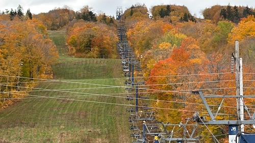 Trees are pictured with the leaves changing colours.
