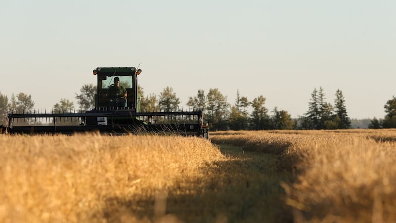 How Canada's agriculture industry could unlock billions in revenue