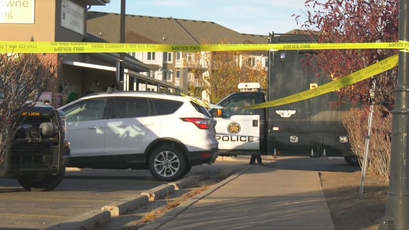Investigation underway after pedestrian struck by vehicle in northeast Calgary