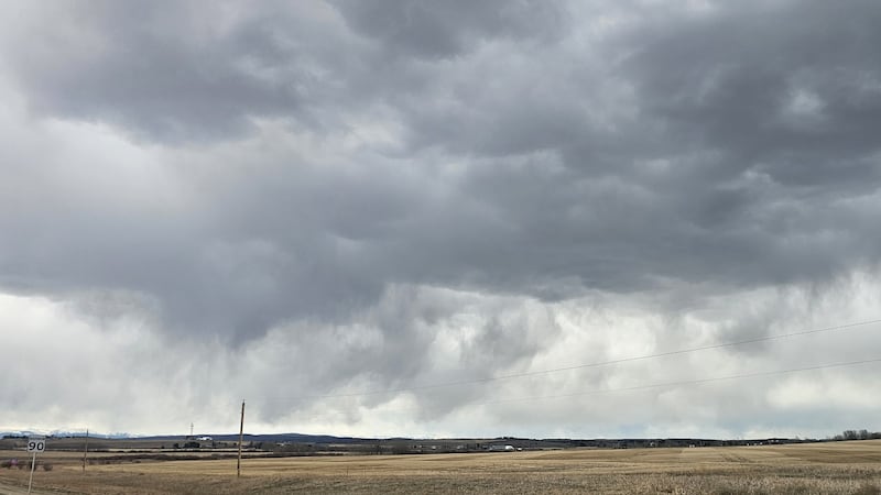 Stunning, sunny weather headed to Calgary on Wednesday