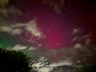 The northern lights are seen in Enfield, N.S., on Nov. 11, 2025. (Submitted: Jeff Donaldson)