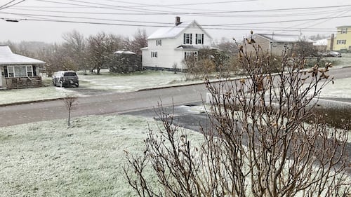 Snow is pictured on the ground on May 29, 2026 in Glace Bay, N.S. (Courtesy: Judy Clowater)