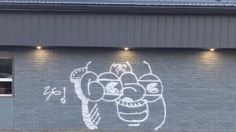Tips sought after year-long graffiti campaign in Sault Ste. Marie