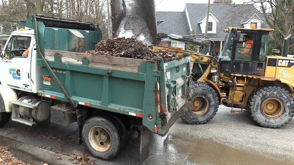 Loose leaf collection resumes in Cambridge