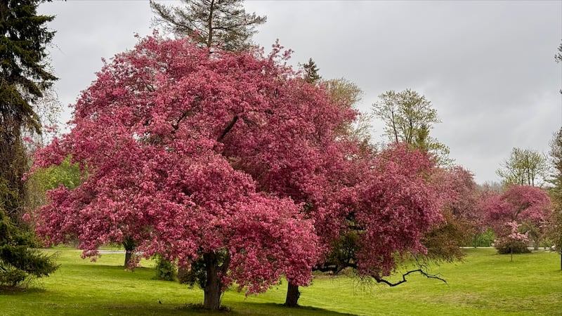 London region to see sharp warmup after cloudy start, highs reaching mid-20s by Sunday