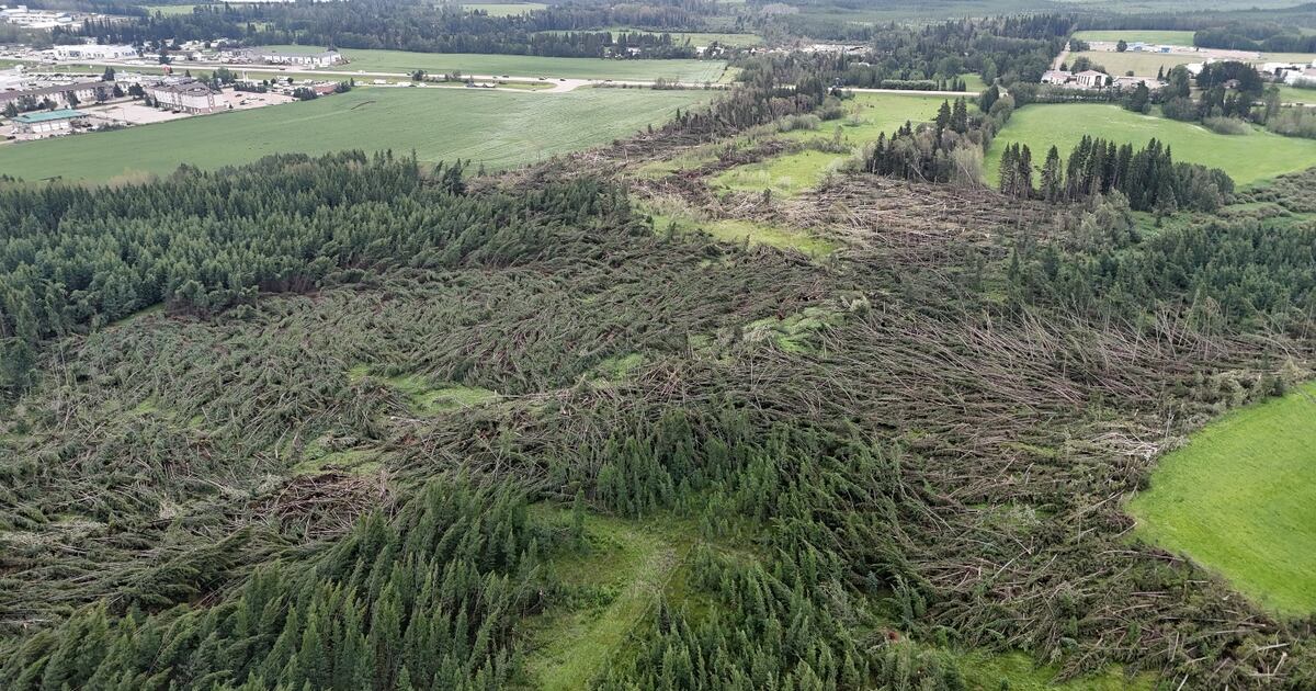 Ctvnews reporting image
