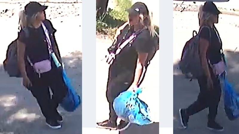 Police looking for suspect in June vehicle arson near Kingsway