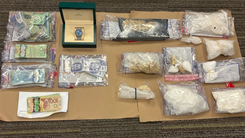 Police seize over 200K worth of illicit substances in Niagara Falls drug trafficking probe