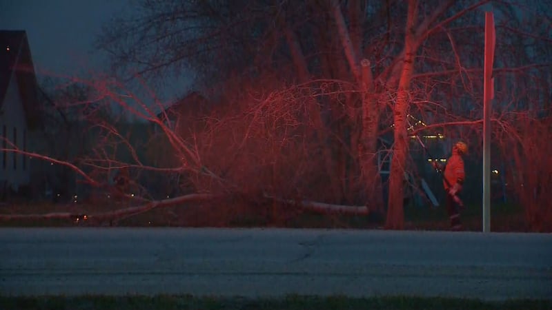 19-year-old seriously injured after being struck by tree during Muskoka storm