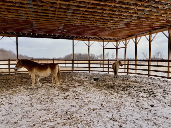 Anonymous donor to match donations to WETRA up to $75K