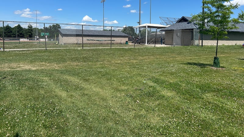 Fan hit by foul baseball renews interest for safety netting at Mic Mac Park