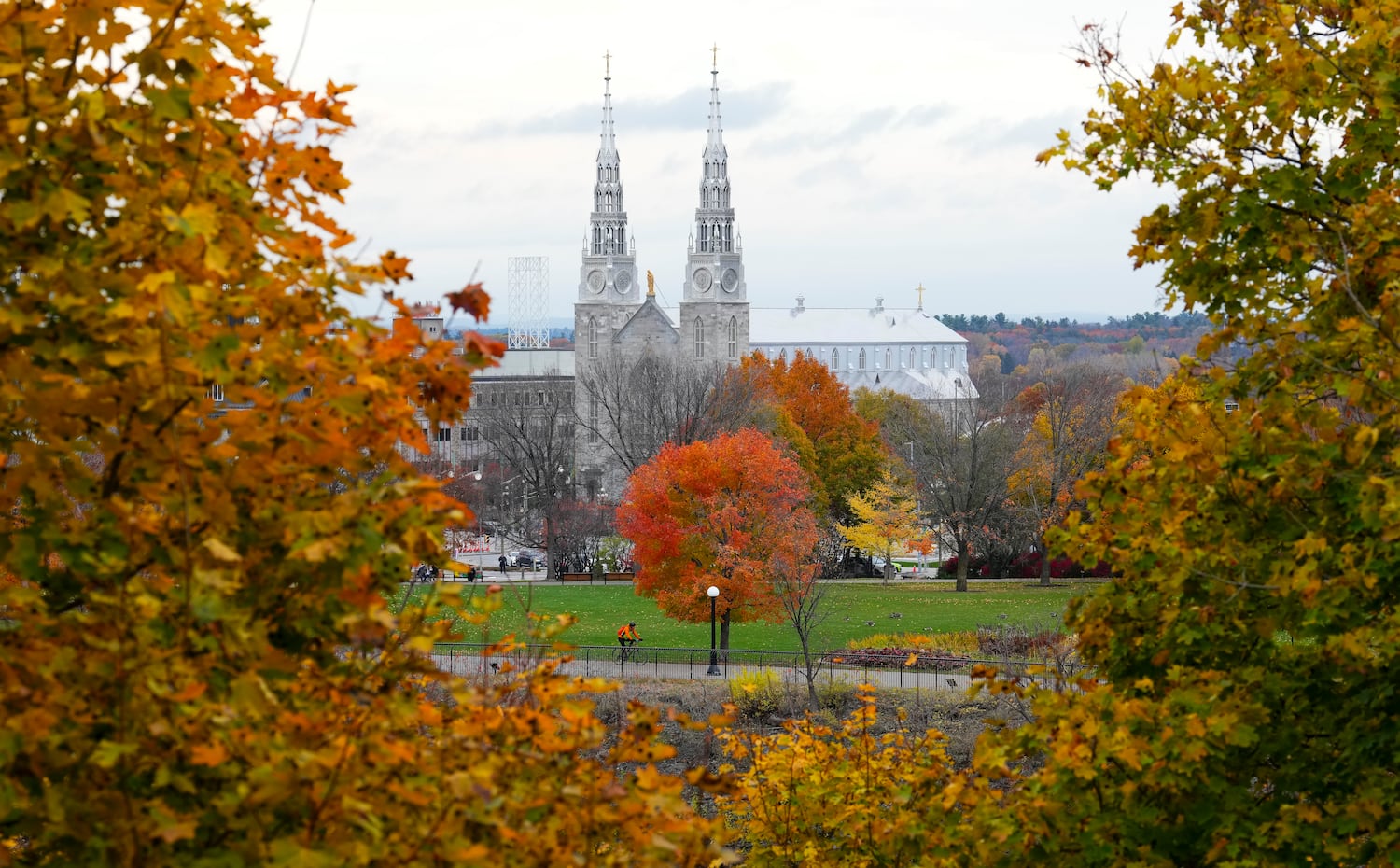 Fall colours popping in Ottawa area – CTVNews
