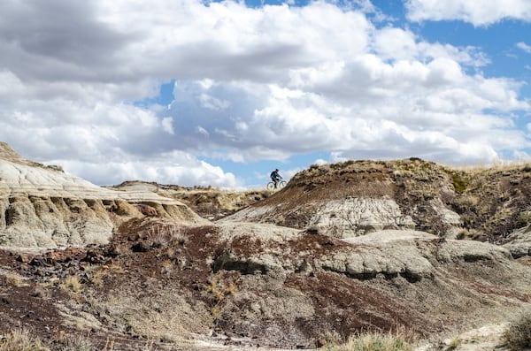 Tax decisions and political uncertainty put brakes on tourism spending in Alberta, says industry group