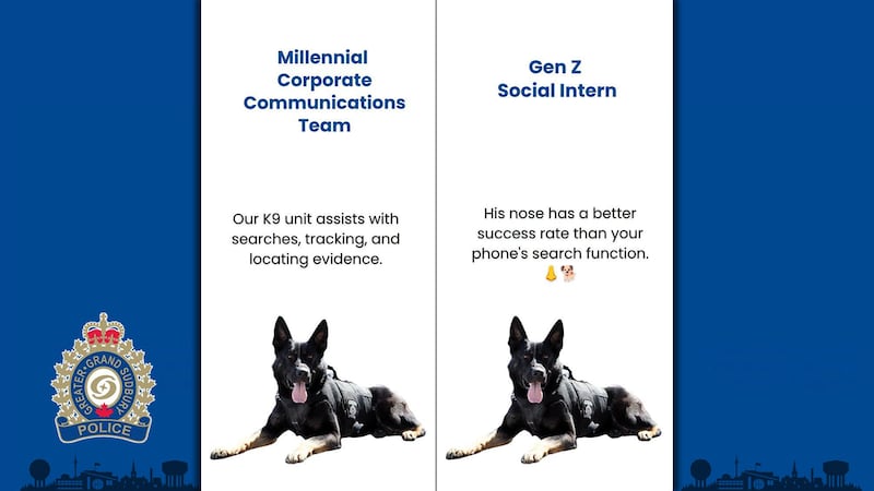 Police embrace social media trend with generational twist