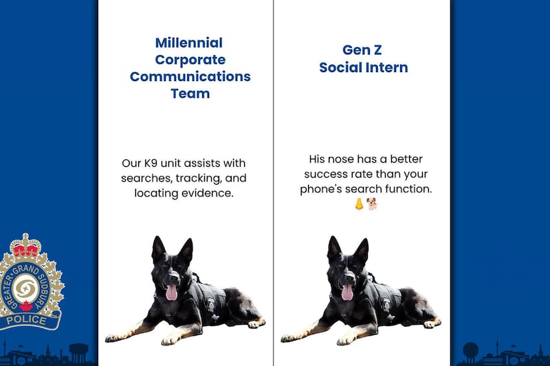 Police embrace social media trend with generational twist