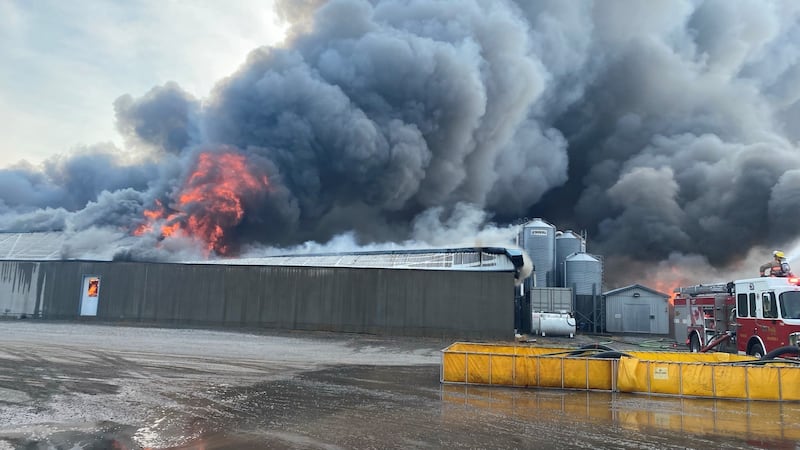 Thousands of hogs killed in massive barn fire