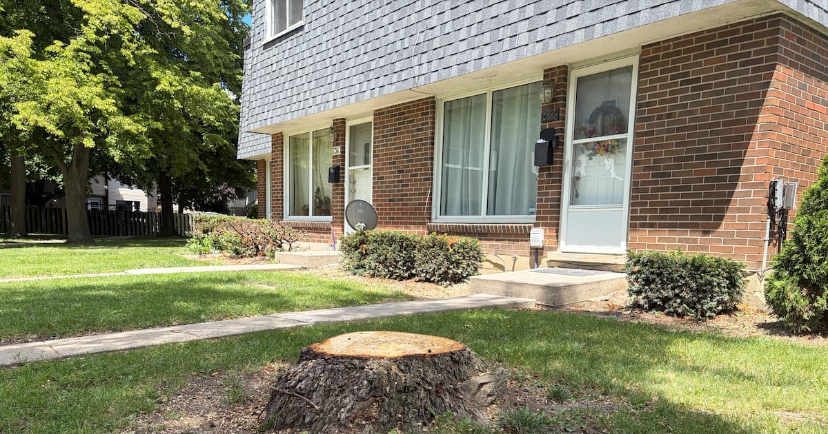 Amherstburg condo residents upset by tree choppings