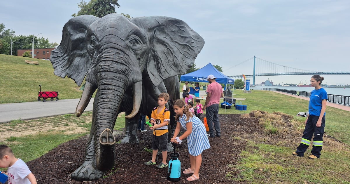 Community Gathers for Annual Elephant Cleaning Event in Windsor