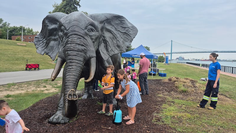 Suds, smiles and sparkle: Kids scrub Tembo at Windsor’s riverfront