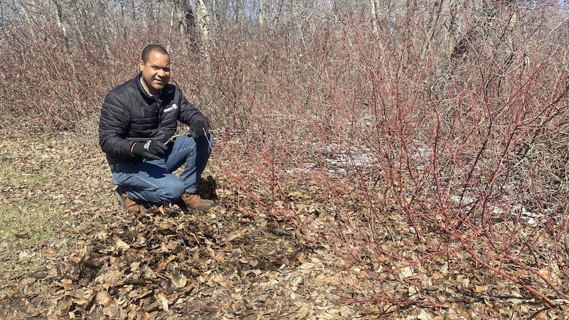 How to prep your yard ahead of wildfire season