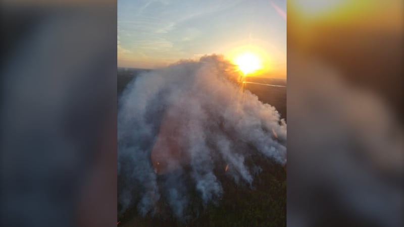Over 1,300 Sask. residents displaced by fires as Shellbrook blaze cools down
