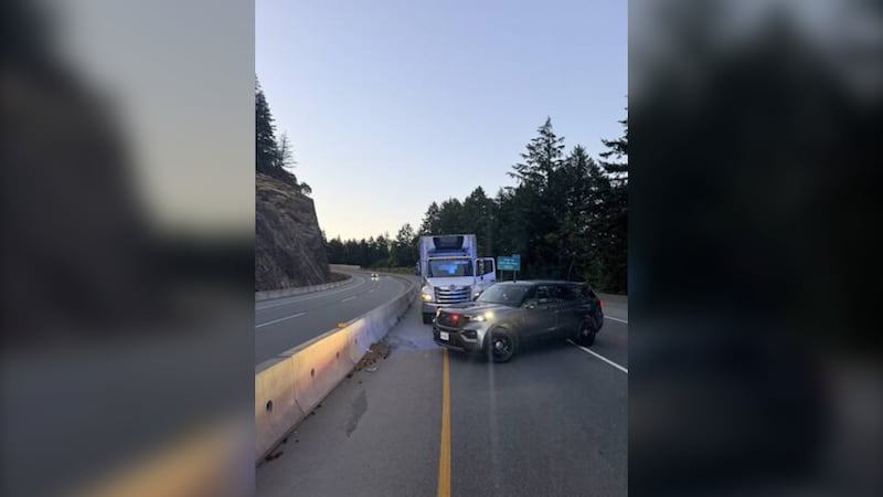 Truck driver arrested after driving wrong way on Trans-Canada Highway