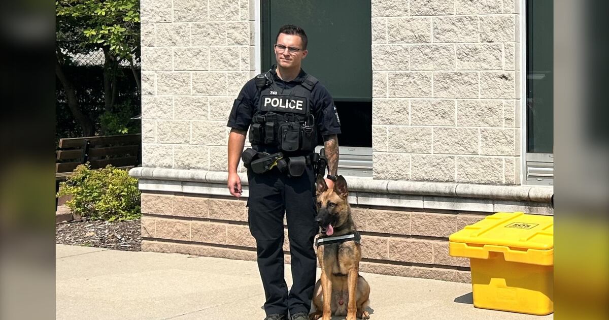 Pd Rocco Police dog helps catch break-in suspect