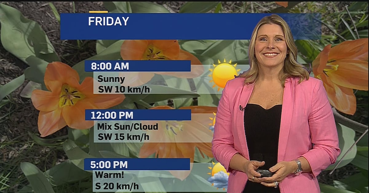 ‘The weekend is looking great': Summer-like weather expected this long weekend
