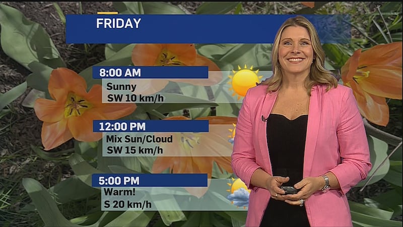 ‘The weekend is looking great’: Summer-like weather expected this long weekend
