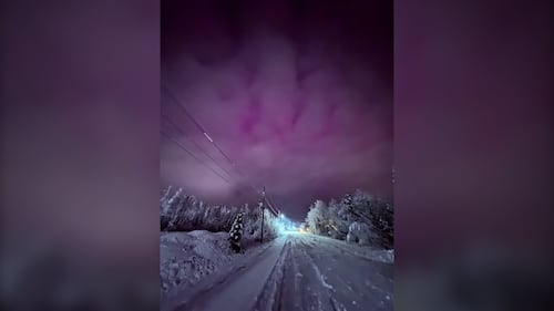 The Northern Lights are pictured in Nine Mile River, N.S., on Jan. 19, 2026. (Courtesy: Melissa Withrow)