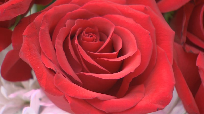 Create a garden worth bragging about