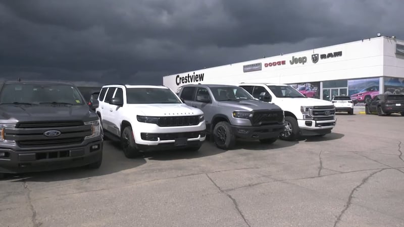 ‘100% of vehicles damaged’ after severe hail hits Regina car dealership