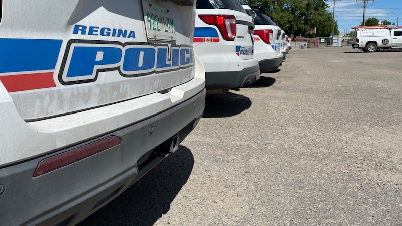 Man charged in Regina break and enter, bitten by police dog