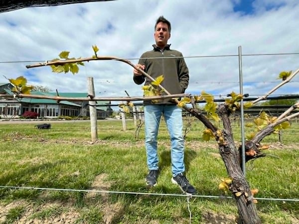 Essex County winery says interprovincial barriers continue to limit Canadian wine sales