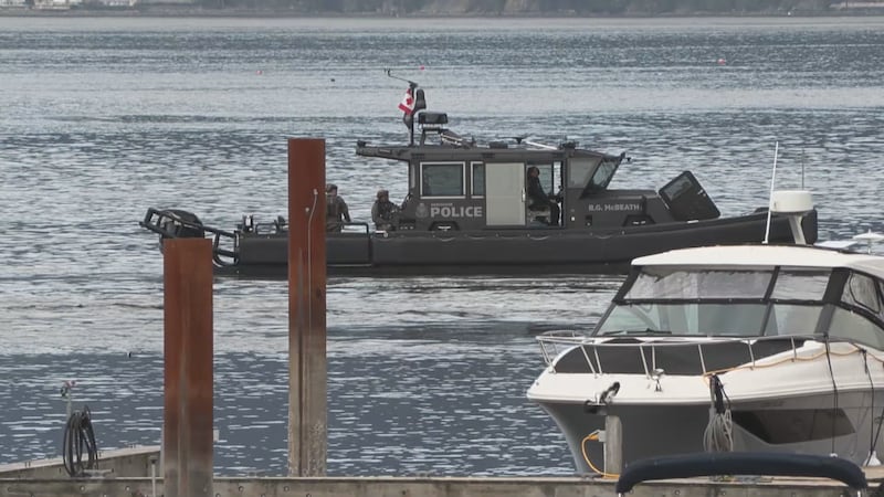 Man arrested under Mental Health Act after hours-long crisis negotiations that delayed BC Ferries sailings