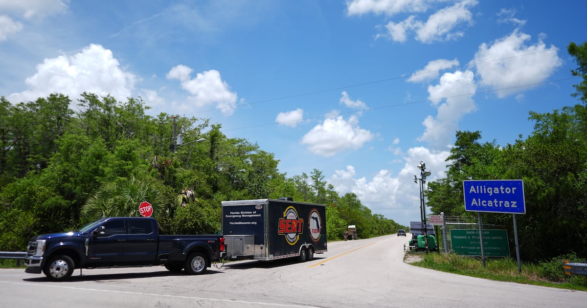 Man fleeing immigration officers in Florida is struck and killed by ...