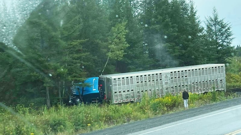 Woman killed when transport and vehicle collide near Thunder Bay