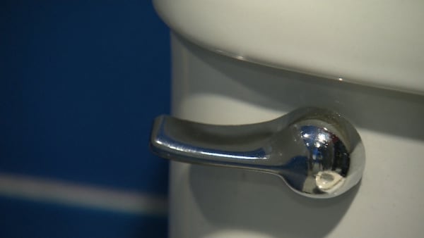 ‘Flush responsibly’: Reminder ahead of World Toilet Day