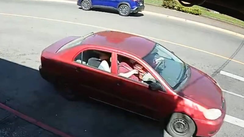 Suspects sought in ‘targeted and completely unacceptable’ BB gun attack on Vancouver Island