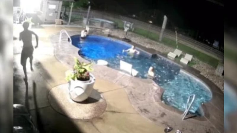 Four people caught on video swimming in private showroom pool at Windsor business