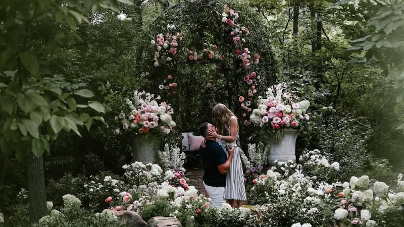 ‘She has her person’: Taylor Swift fans react to singer marrying Travis Kelce