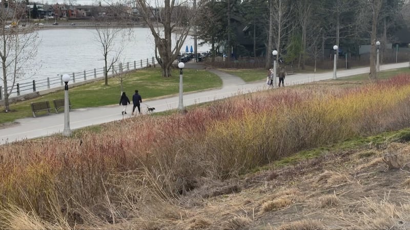 Warm temperatures arrive in Ottawa, with no rain expected this week