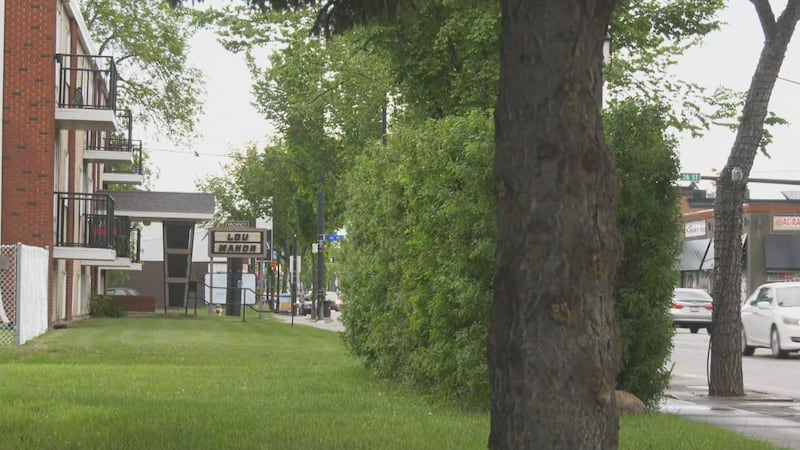 Edmonton man fatally stabbed, woman charged with 2nd-degree murder