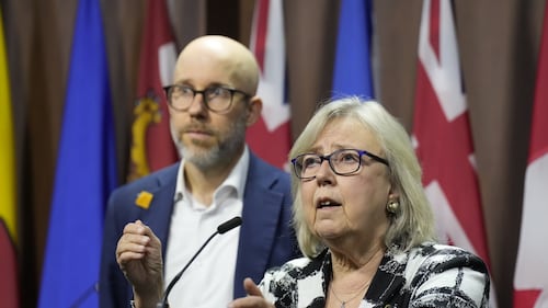 Green Party announces leadership candidates, vote set for November